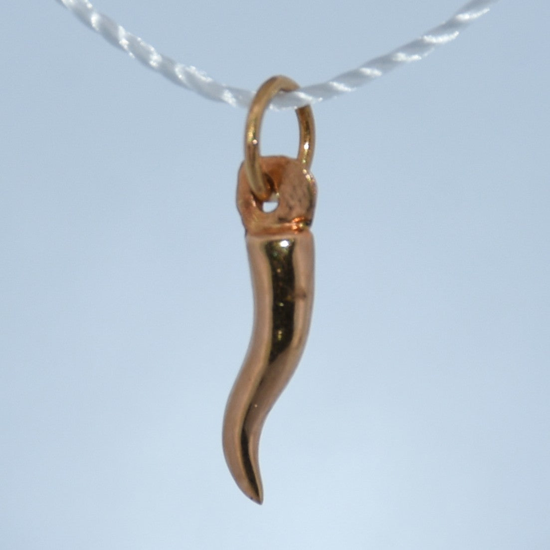 19.2K Portuguese Gold | Horn of Plenty Charm